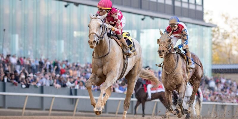 Arkansas Derby 2026 Horses: TV Channels & Streaming Options - TrendSporty | Live Scores, Game Schedule & Where to Watch Sports Today