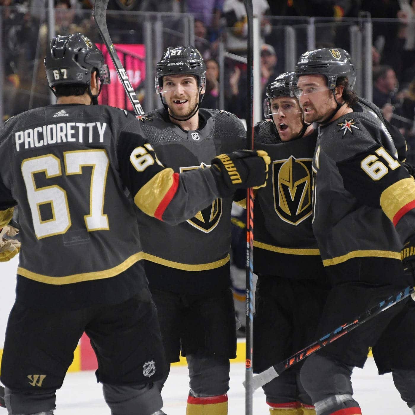 Vegas hockey Vegas Golden Knightss celebrate after their goal